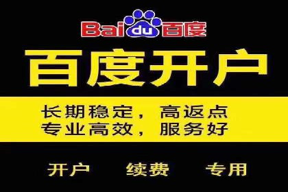 百度SEM推广策略：成功案例解析